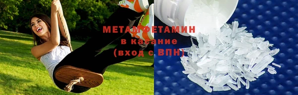гидра Кодинск