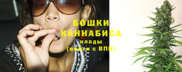ГАЛЛЮЦИНОГЕННЫЕ ГРИБЫ Козельск