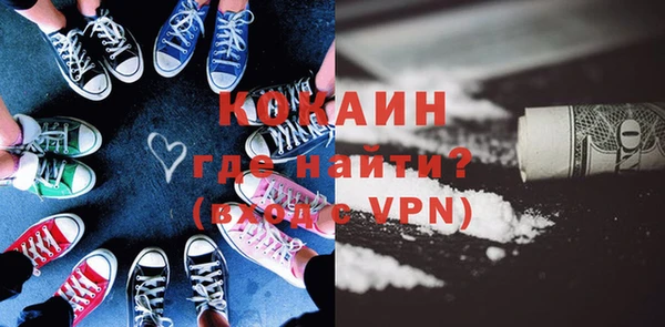 гидра Кодинск