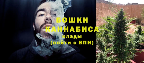 ГАЛЛЮЦИНОГЕННЫЕ ГРИБЫ Козельск