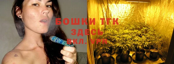 твердый Коряжма