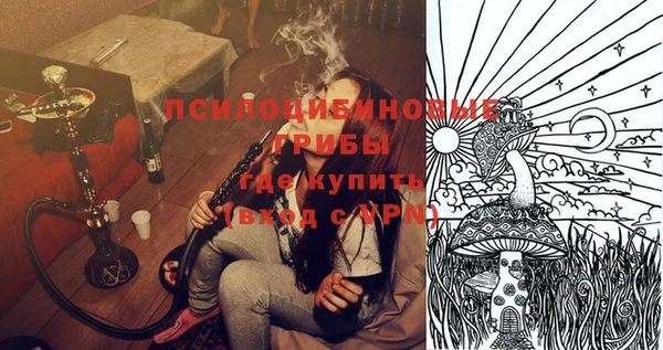 МДМА Козловка