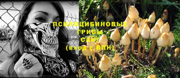 гидра Кодинск