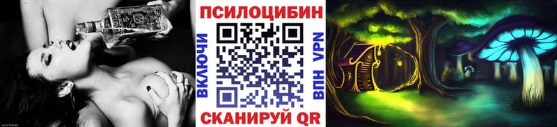 Купить где  Власиха  Псилоцибиновые грибы Cubensis 